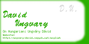 david ungvary business card